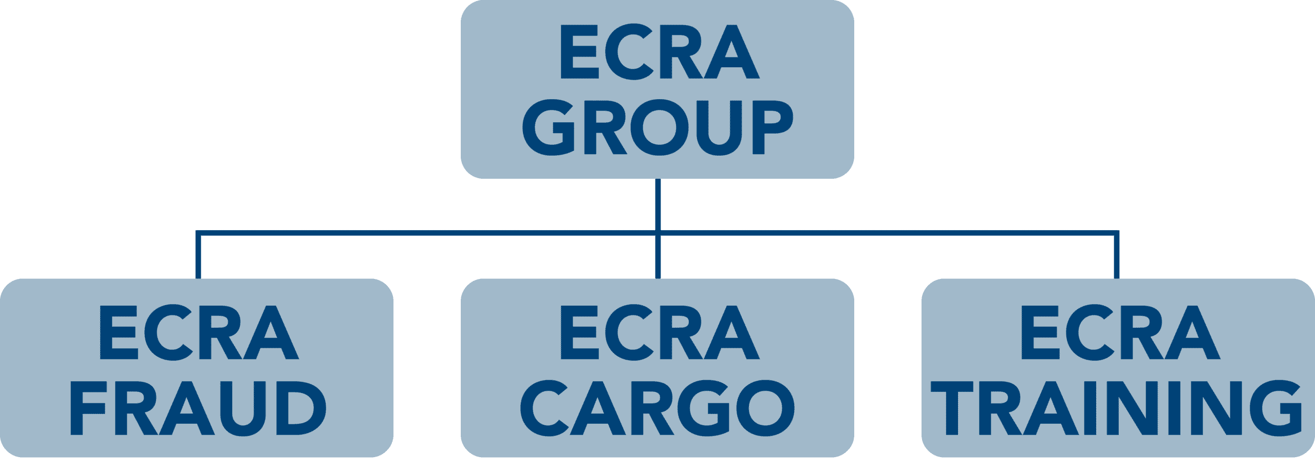 Ecra Unternehmensstruktur – Geschäftsfelder