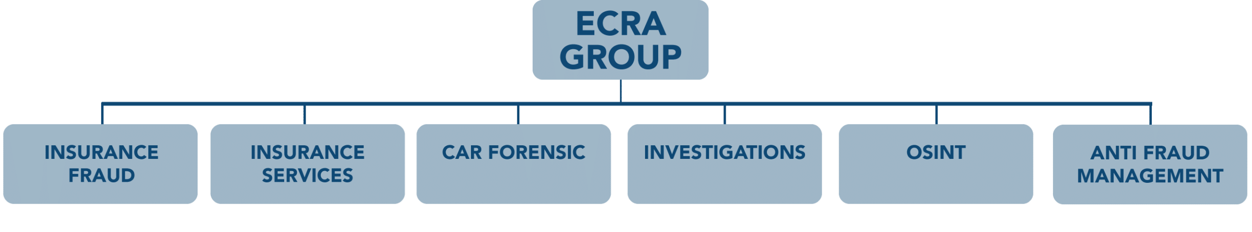 ECRA Organigramm